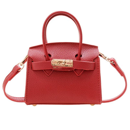 La classe super  mini birk bag